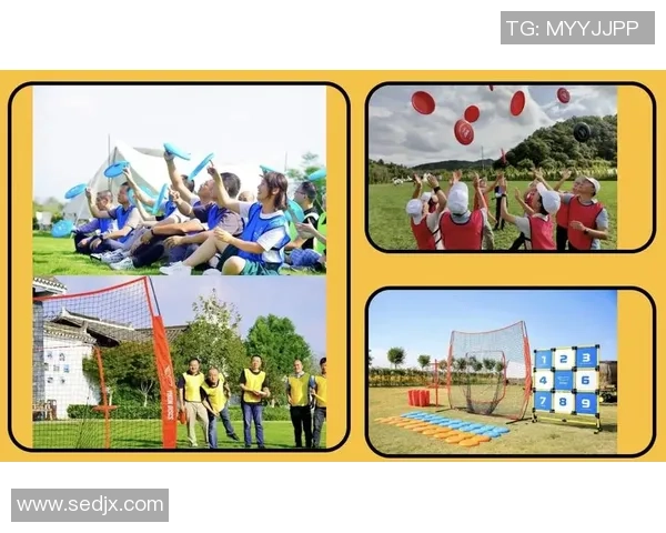 飞盘战术与团队协作上海飞盘队的运营模式与成功经验探讨